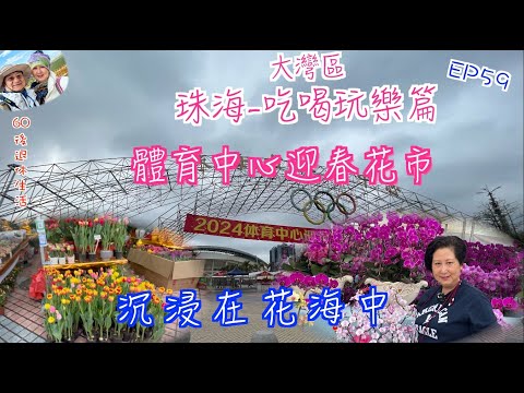 254. 大灣區-吃喝玩樂篇-珠海（EP59) ， 珠海體育中心迎春花市｜ 港車北上購物｜ 桃花｜ 菊花｜ 鬱金香｜ 蕙蘭蝴｜蝶蘭｜珠海