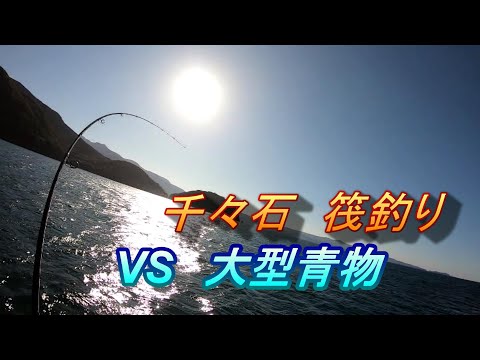 千々石　筏釣り　大物青物との対決