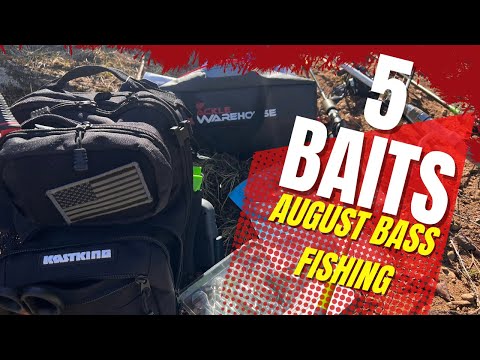 Baits For August Bass Fishing