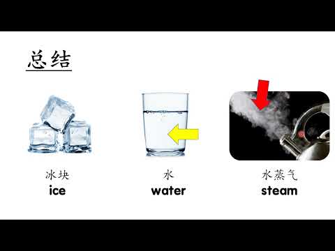 水的变化 Change of state of water | 学前教育班Preschool 幼儿园 Prasekolah| 学习中文 Learning Chinese | 科学 Science