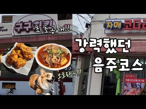 성동구에 정말 숨은 맛집들 ㅎㅎ 이런 곳들이 정말 많아졌으면 좋겠다!!  (혼술_헤라님 맛집 , 구구치킨, 자매코다리)