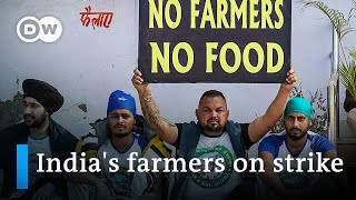 Indian farmers launch nationwide strike over new laws | DW News