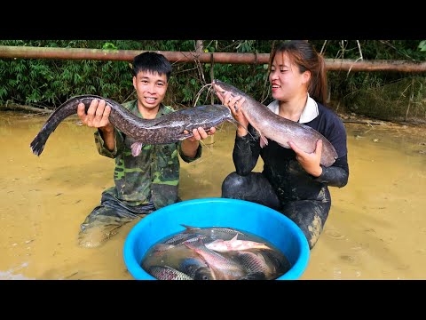 The Fastest and Easiest Way to Catch Giant Fish in Mud Harvesting for Sale | Linh's Life