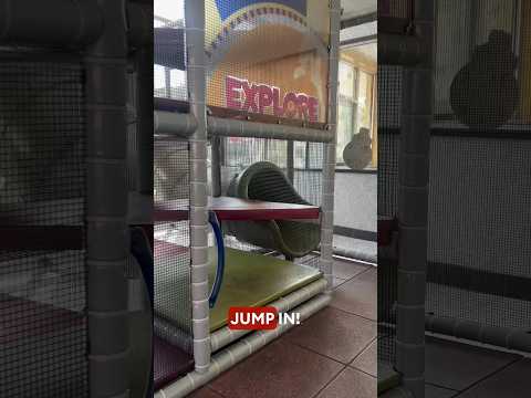 We Got Inside an ABANDONED Burger King With a Play Place! We Jumped in! #abandoned #urbex #mcdonalds