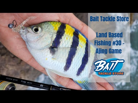 Bait Tackle Store: Ultra Light Land Based Fishing #30 - Ajing Game