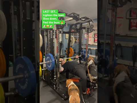 I need to teach Scout how to properly spot 🐶 ￼#lovemybeagles #lovemyhomegym #chestworkout