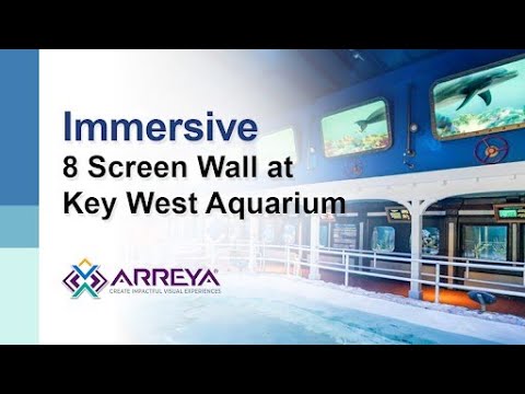 Immersive 8 Screen Video Wall at Key West Aquarium (Short)