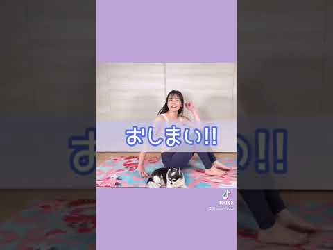 【間違えばムキムキ肩に😱】正しく行ってほっそり二の腕に💕#amamiyoga #あまみヨガ　#二の腕痩せ　#振袖肉　#体幹　#体質改善　#ダイエット　#ヨガ　#ヨガ女子　#ヨガ美女　#ストレッチ