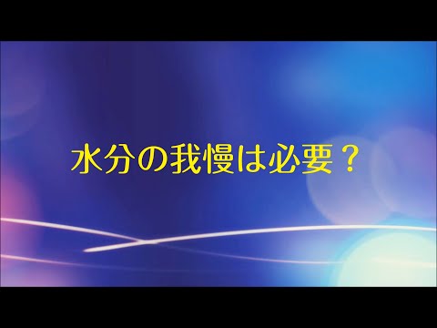 【透析】水分の我慢は必要？【政金院長シリーズ】