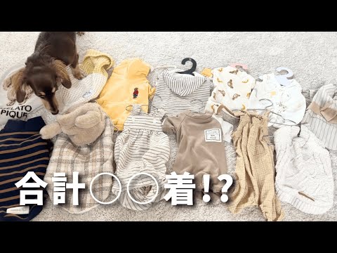 胴長短足犬の服選びは難しい