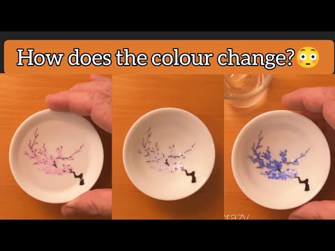 colour changing blossom | easy science experiment | thermal indicator | colourful science experiment