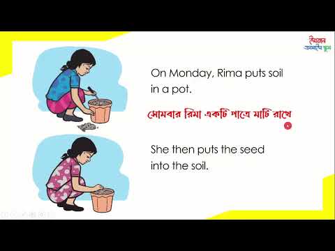 How does a plant grow, Class 2, English for toady,