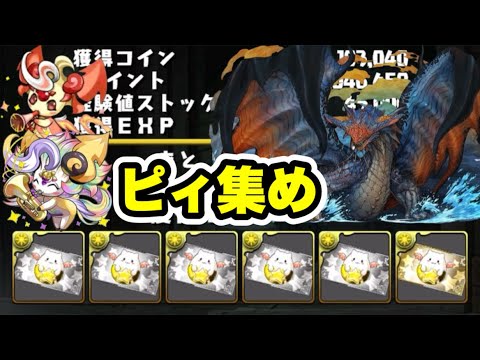 【ピィ集め】1周100秒で約2.7体以上‼️ ガンホーコラボ 上級編Lv9 周回編成・立ち回り紹介！！【ガンホーコラボ】【パズル&ドラゴンズ/#パズドラ】