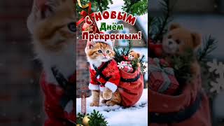 #музыкальная #открытка#дляНастроения #доброеутро #декабря 🍵🌲❄️☃️❤️