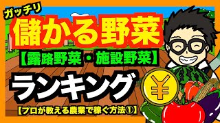 【儲かる野菜】新規就農者必見！！農林水産省がまとめた１反の収益が高い農作物ランキングを発表！！【アニメでわかる家庭菜園・農業解説】