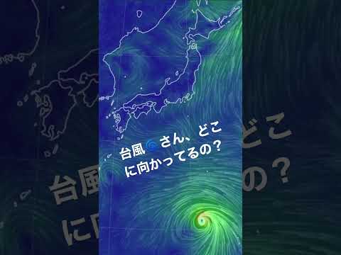 現在17時頃の波と台風の状況です。