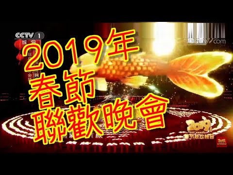 2019年春节联欢晚会  20190205 TV春晚