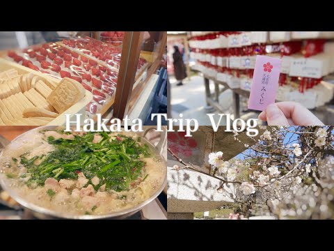 Japan Hakata travel vlog ⛩ 3 days and 2 nights✨A trip to eat delicious food in Fukuoka🌸