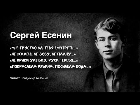 Ко Дню Рождения Сергея Есенина. Читает Владимир Антоник