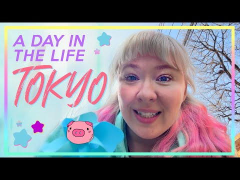 Tokyo Local Vlog ★ King Kogi Quest