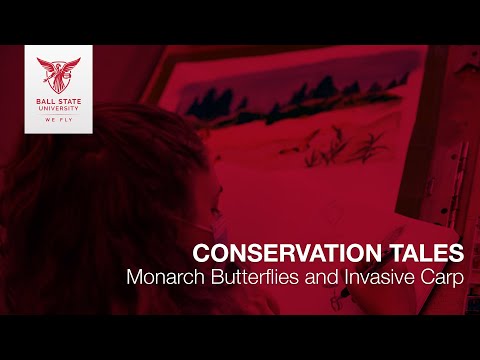 Conservation Tales