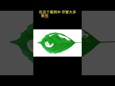 1  #政治经济学 #集体行动问题 #美国