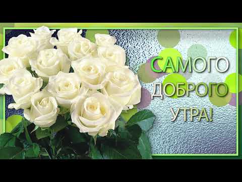 ✅Самого доброго утра!✅Самого доброго дня!