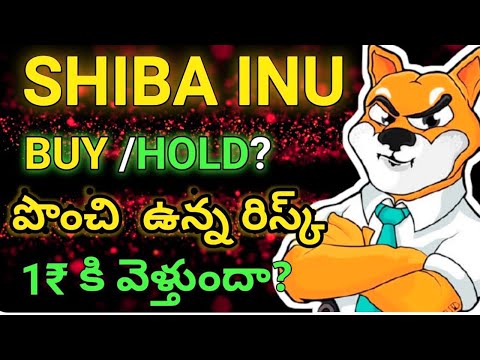 Shiba Token Big Update Telugu - Crypto Pavan