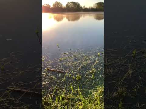 Beautiful morning by the river bank in spring