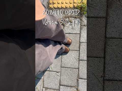 퇴근길에 올리는 오늘의 출근길 OOTD 테무깡!!! 제가 산 것은 바로!!! 웨스턴 부츠 만족 신발 하울 성공적!!! 외모 췤!!!은... 실패 살 빼자.. 큰일이다 유지어터 🥶