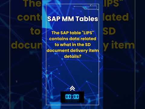 SAP MM Material Master Flash Card Quiz 13