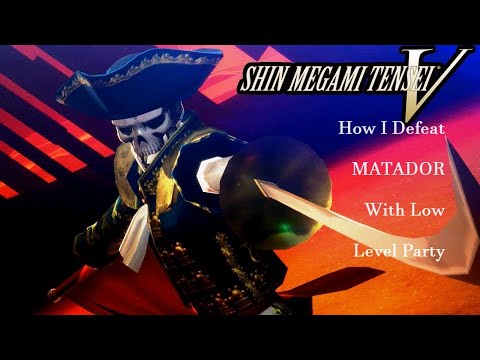 How i defeat MATADOR even with low level party