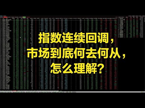 指数连续回调，市场到底何去何从，怎么理解？