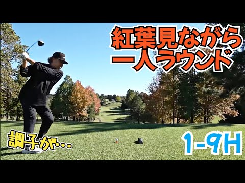 【一人ラウンド】秋と言えば紅葉ですよね！ゴルフ場の紅葉はキレイです！紅葉はキレイですが…。