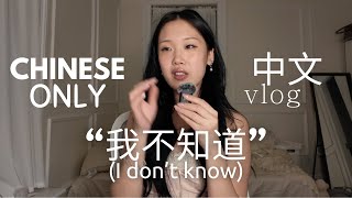 speaking ONLY chinese challenge (with subtitles ofc) | 中文 vlog