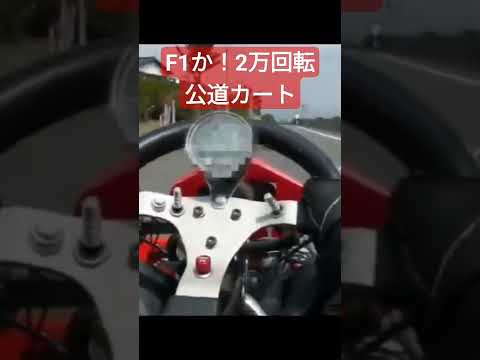 公道カートが爆走！