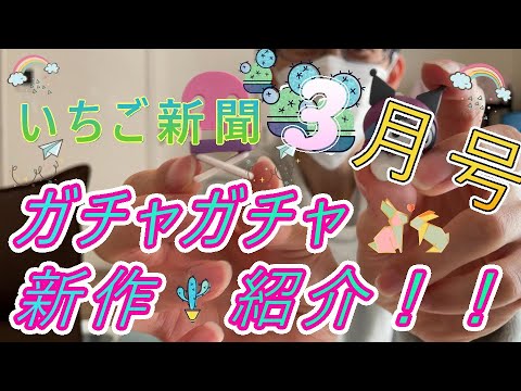 【サンリオ】いちご新聞🍓３月号と新作ガチャ紹介‼️✨キャンプ【グッズ】