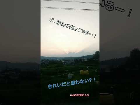 本当にきれいだった！✨♯夕焼け