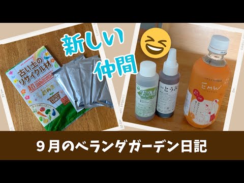 家庭菜園【食糧備蓄】超カルスとEM入門セット購入してみた！