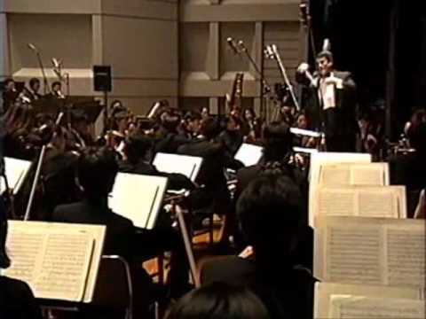 The Symphony Of Evangelion - Symphony No 9