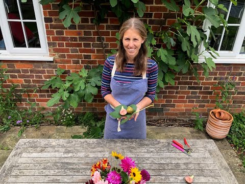 Growing Figs in the UK