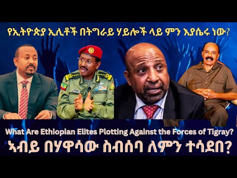 የኢትዮጵያ ኢሊቶች በትግራይ ሃይሎች ላይ ምን እያሴሩ ነው? #TigraiPress #Ethiopia #TigrayWar #Eritrea #RedSea #Abiy #HOA