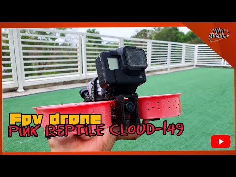 FPV Drone | Maiden Flight Custom Pink Reptile Cloud-149 | HQ Prop 8-Blade