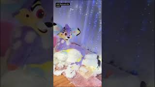 BEST Furry TikToks compilation 0249 #shorts #furrytiktok #furry #furrycompilation