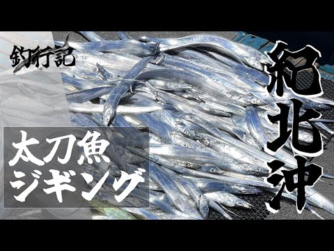 太刀魚シーズン到来！紀北沖で太刀魚が爆釣⁉︎【和歌山ジギング】