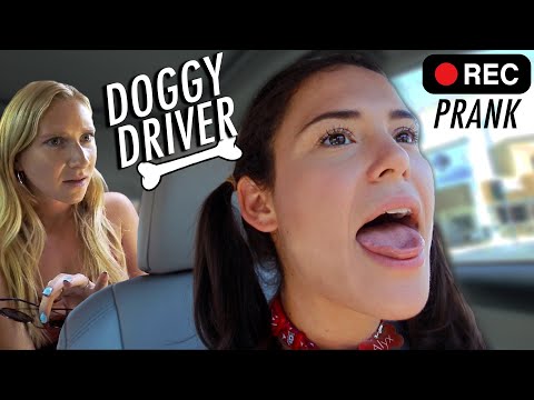 UBER PRANK: Doggy Driver