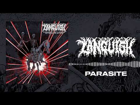 LANGUISH - 'PARASITE' (OFFICIAL AUDIO)