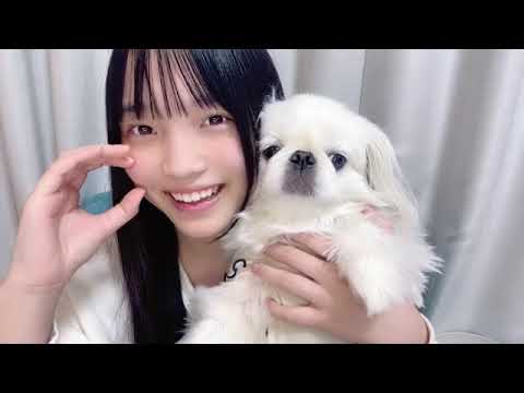 2024年12月20日 岡村 梨央（STU48 2.5期生）