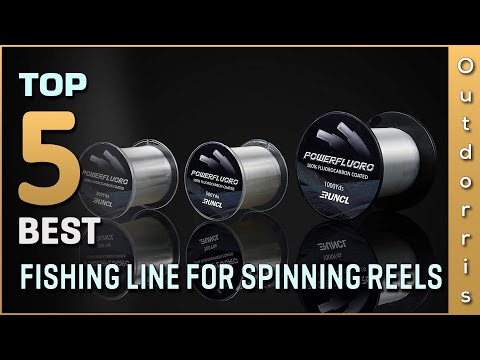 Top 5 Best Fishing Line for Spinning Reels Review in 2023