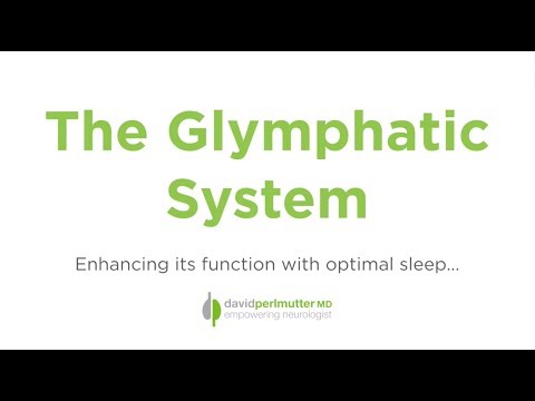 The Glymphatic System: Enhancing Performance with Optimal Sleep